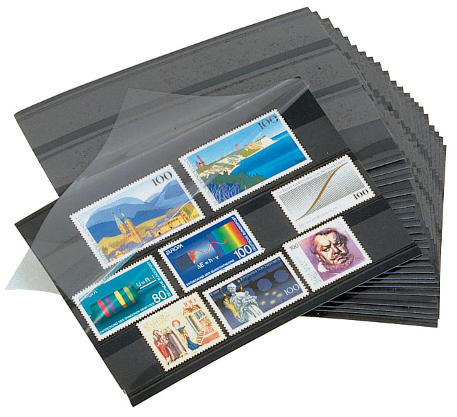Prinz Auktions-Steckkarten, 156 x 112 mm, 3 Streifen, 100 St.